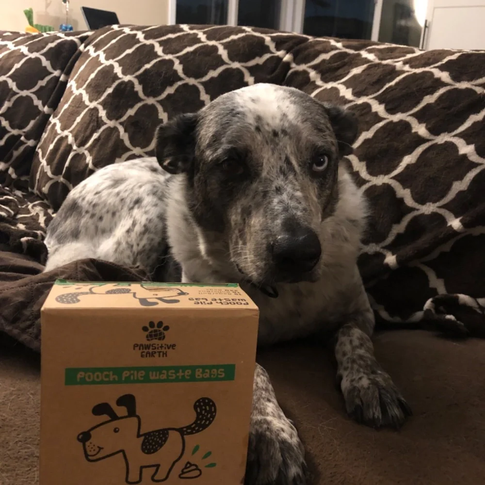 Dog Poop Bags, Dog Waste bag, Earth Friendly Bags,